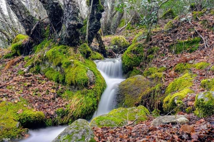 San Ciprián Casa Rural Las Nievesヴィラ エクステリア 写真